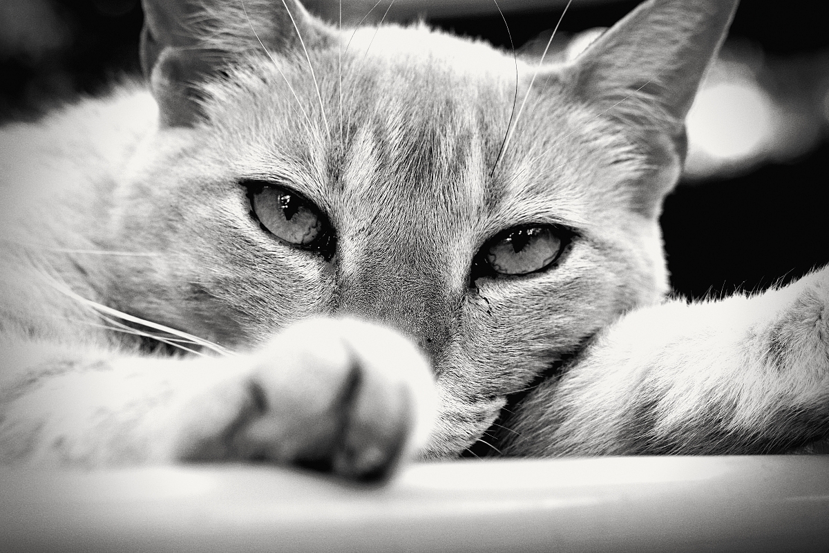 That look
