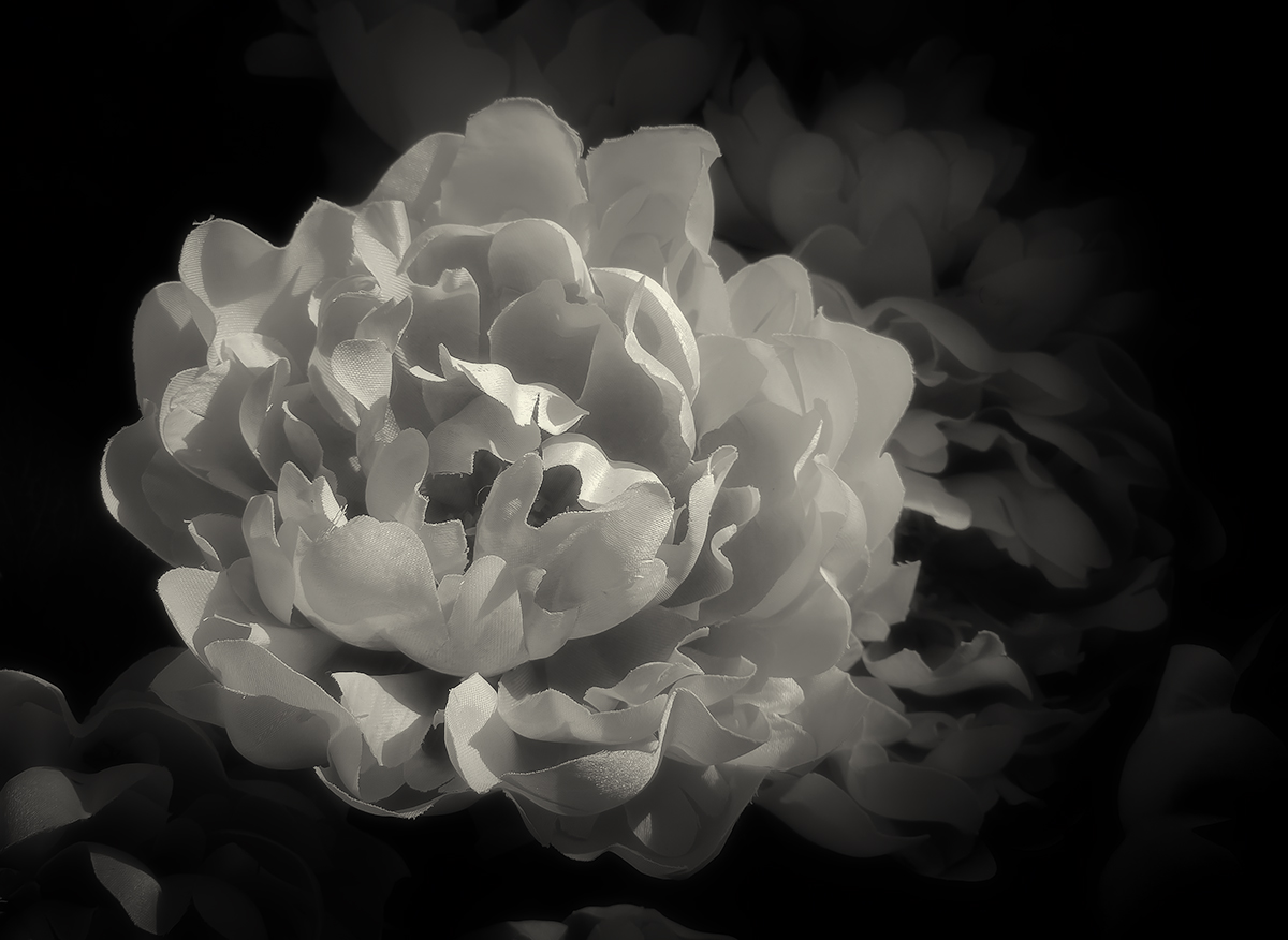 Chiaroscuro