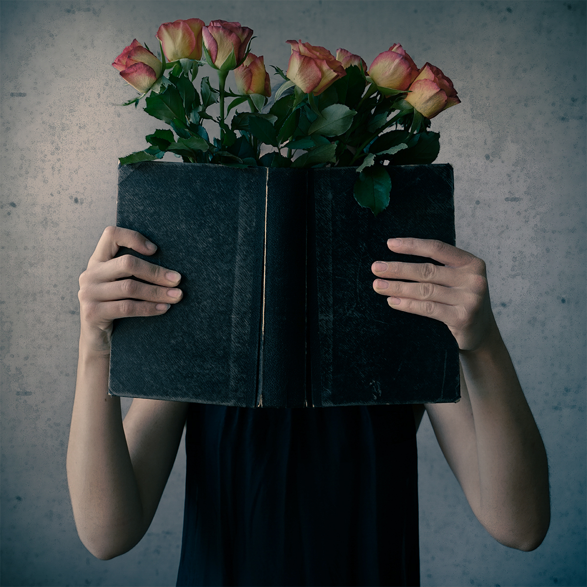 Garden of Words