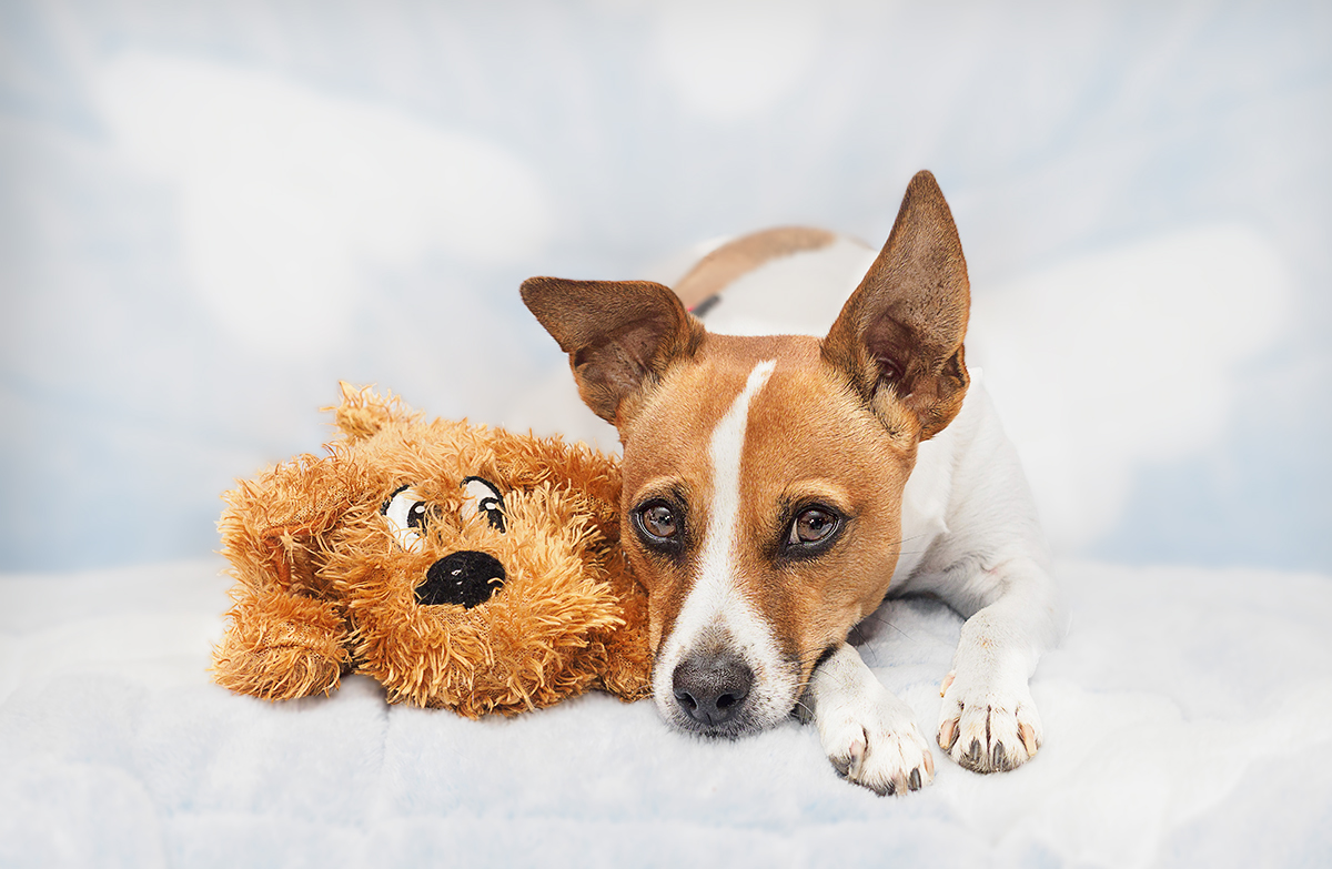 my favourite toy