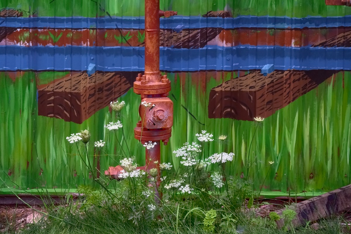 Industrial Bloom