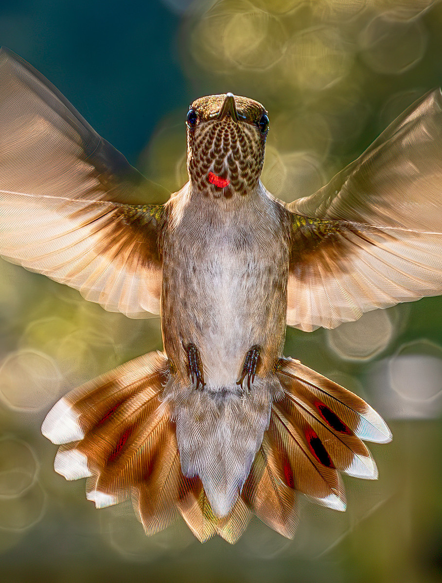 Inquisitive