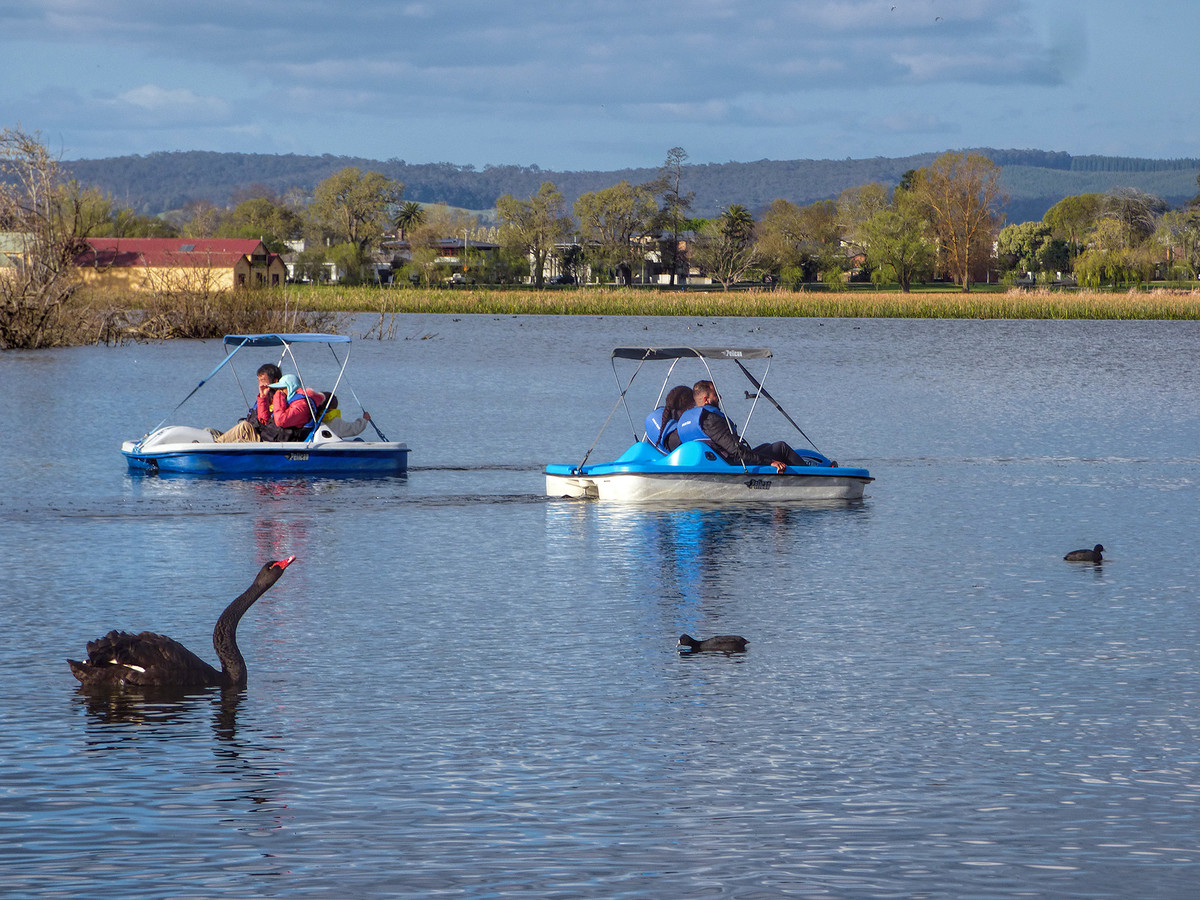 Paddle Boats