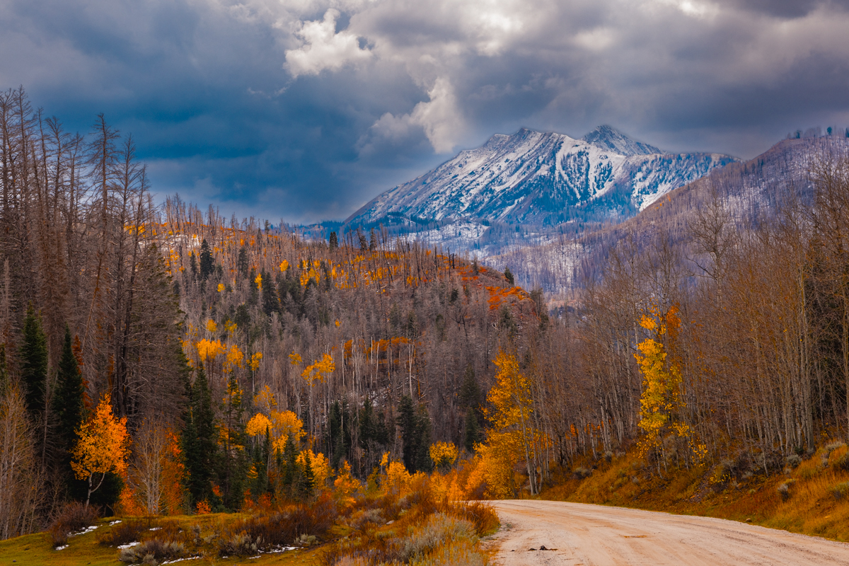 Mountain Majesty