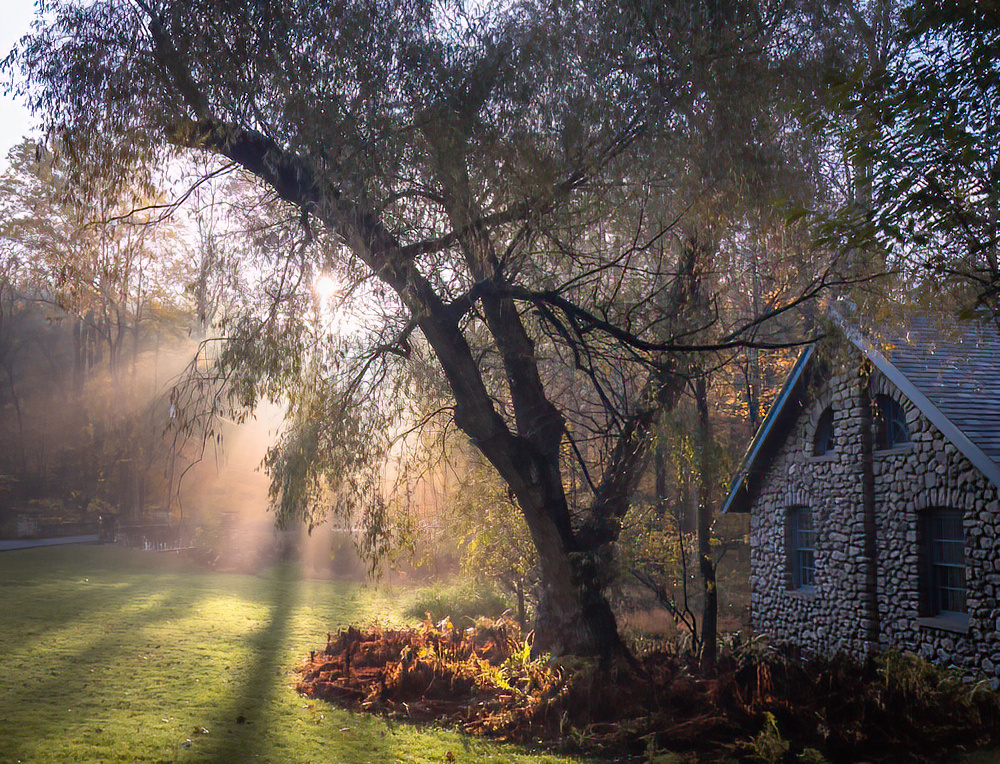 Shinning Through