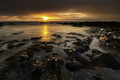 Golden Shores at Sunset