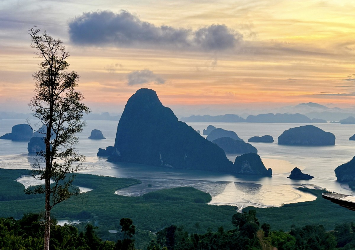 From the Trees to the Sea