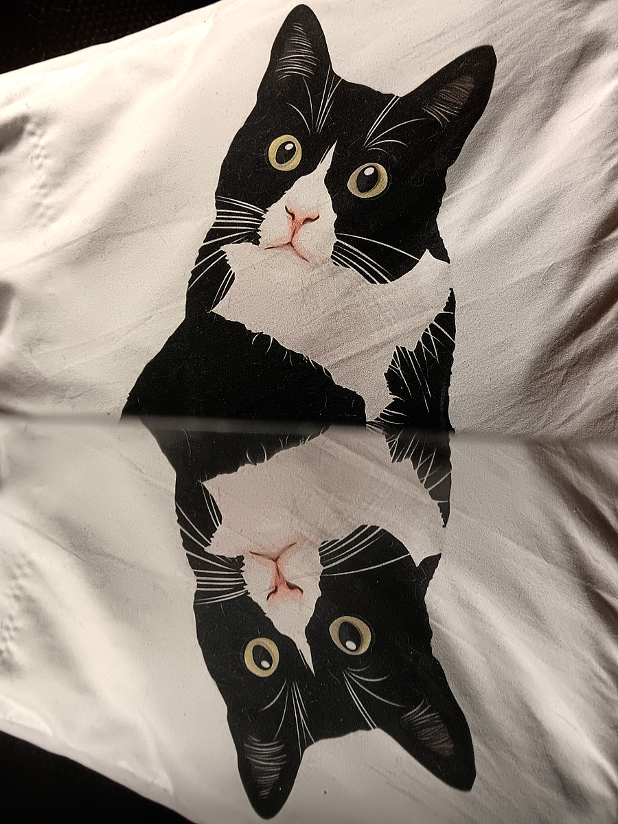 Mirror image