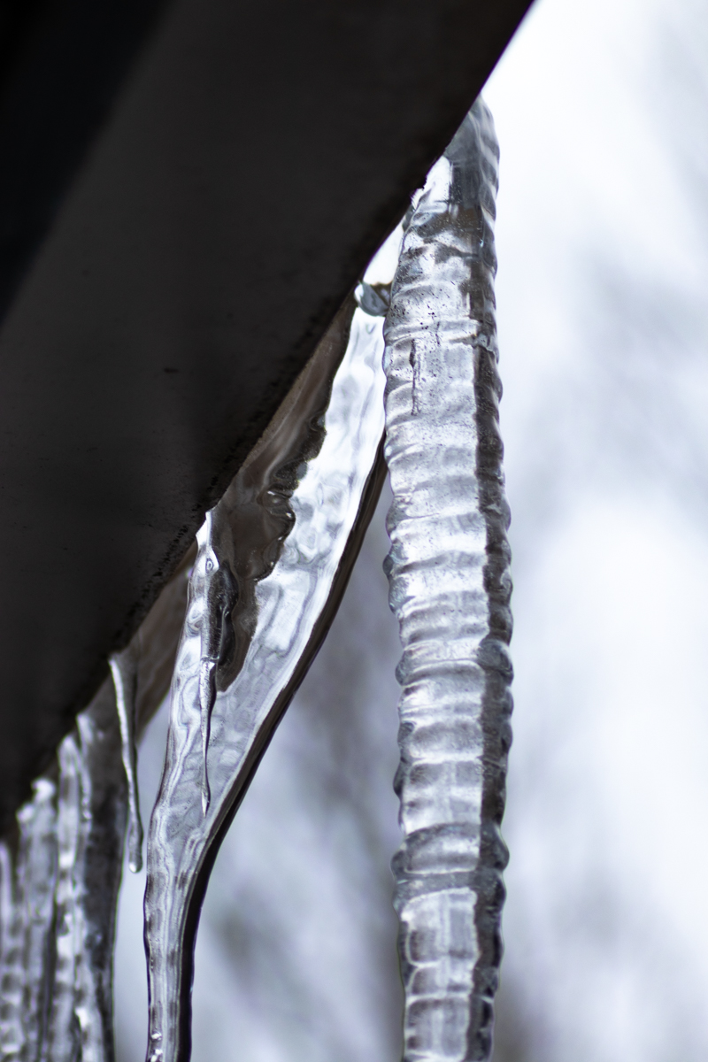 Icicle