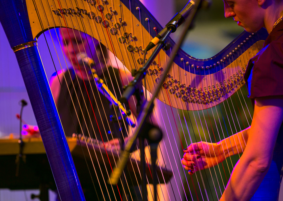 The Harp