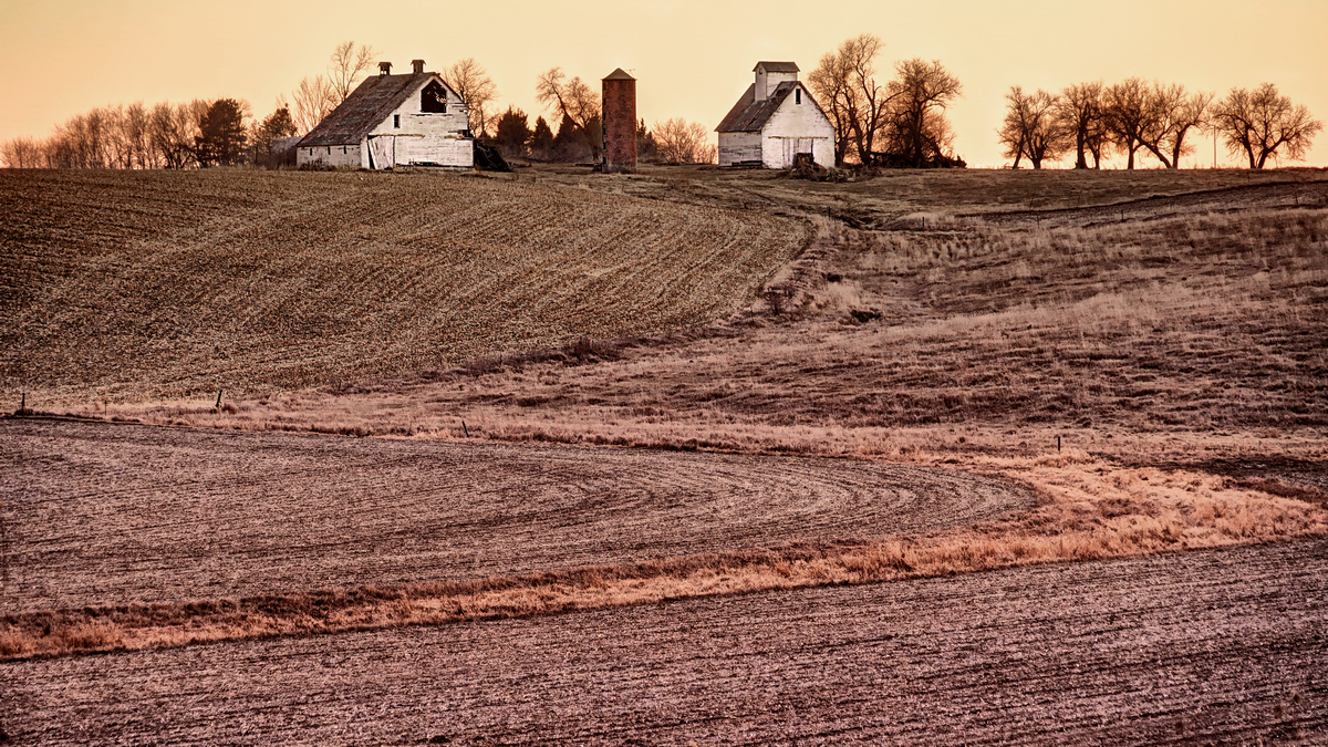 Winter Fields