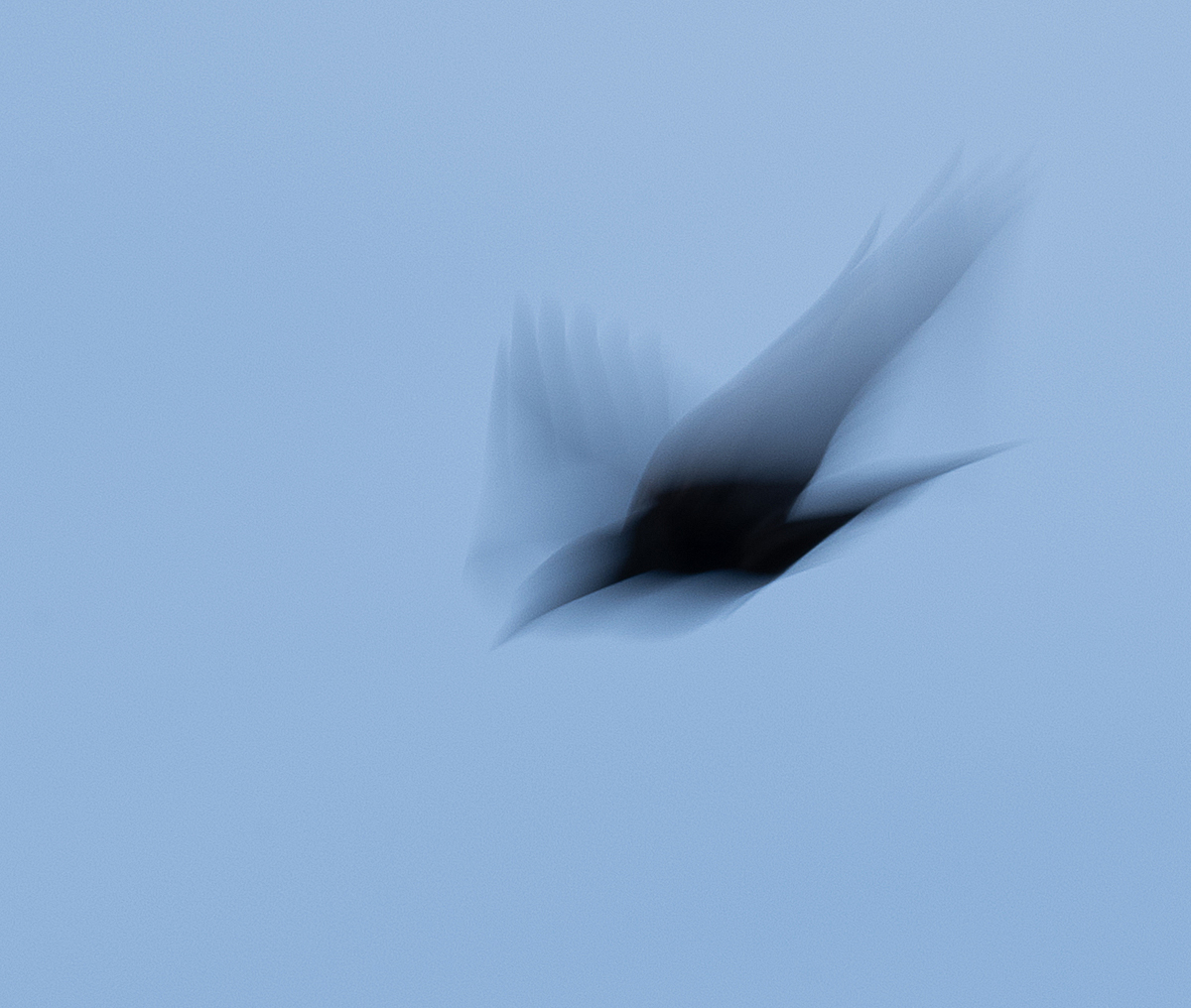 Flight
