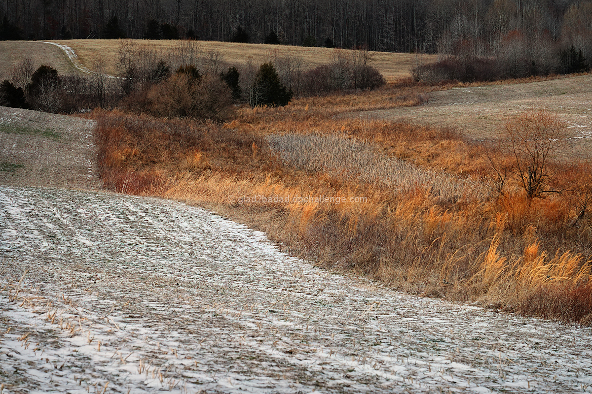 Meander