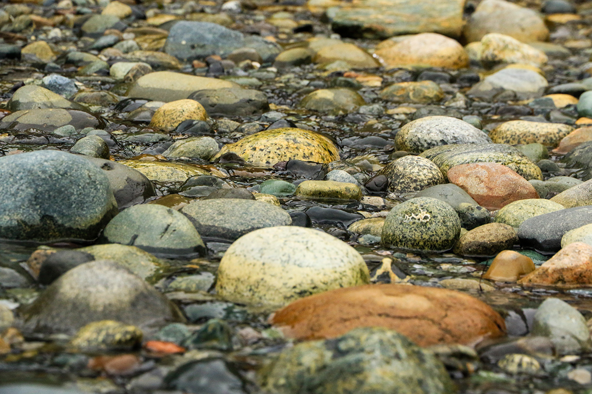 stream bed