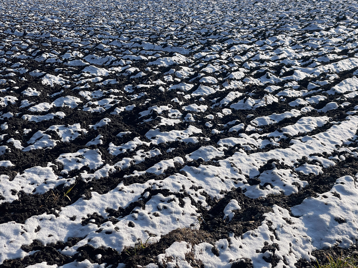 what's left of winter