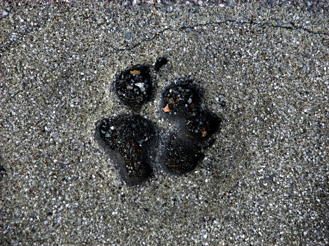 Evidence of Passage