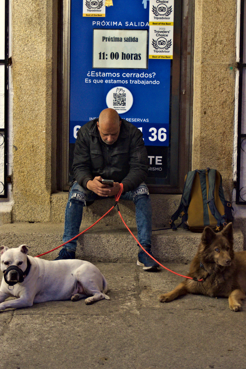 Man with two dogs sitting on stairs