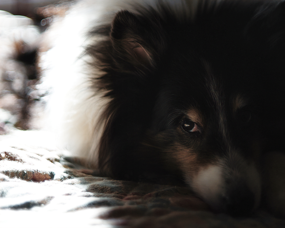 Yes, off the bed.  C'mon, let's go.