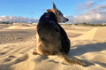 Sand sand everywhere, in my eyes and in my ears, between my teeth and in my hair.