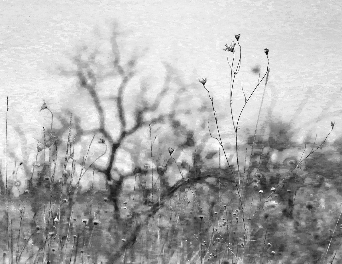 fragile