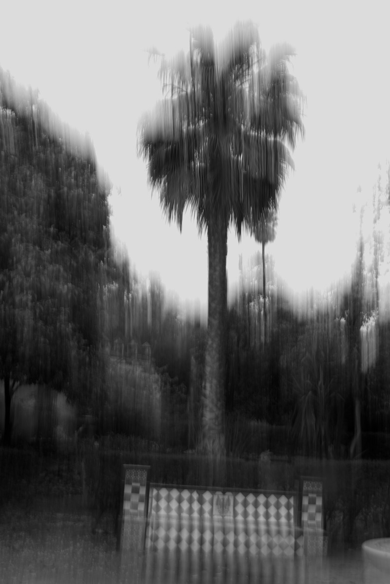 An abstract approach to a public garden