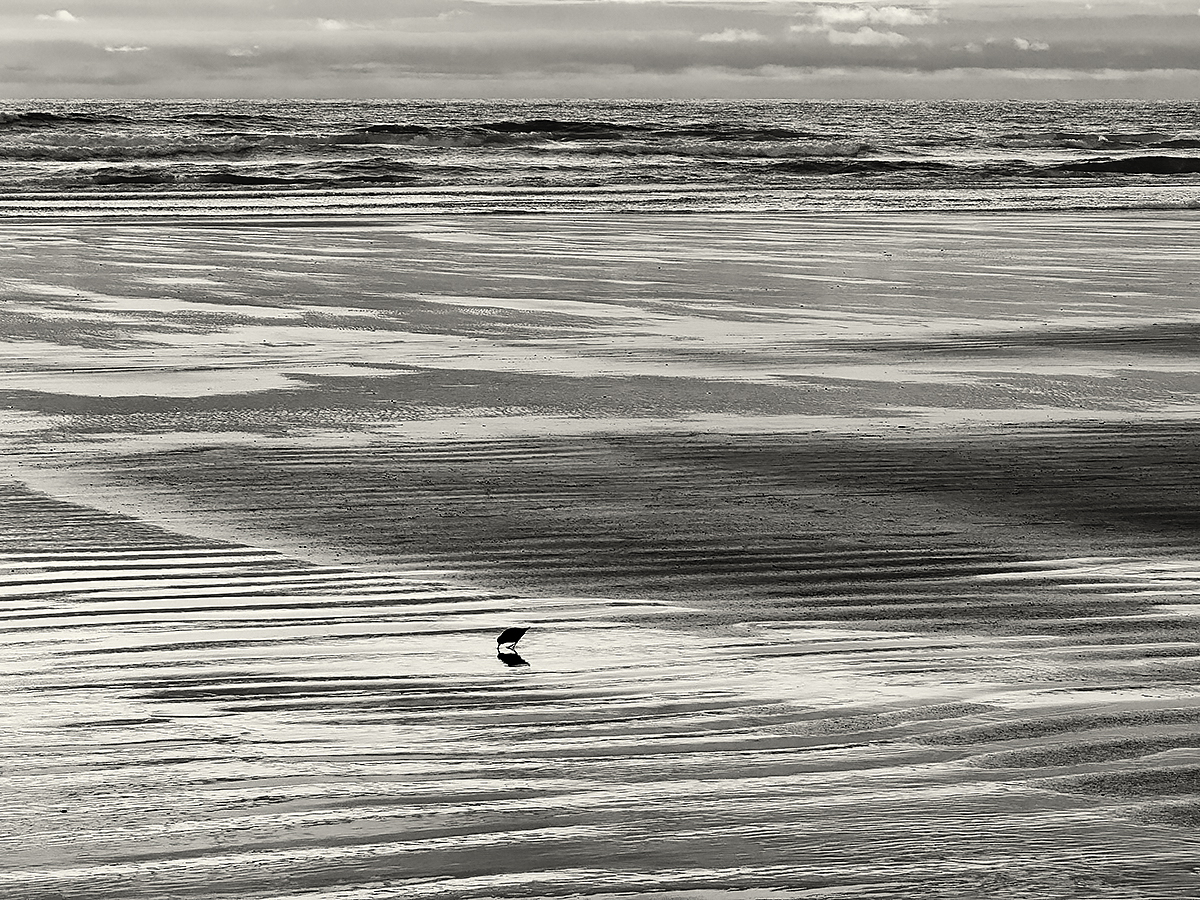 The Rhythm of Tides