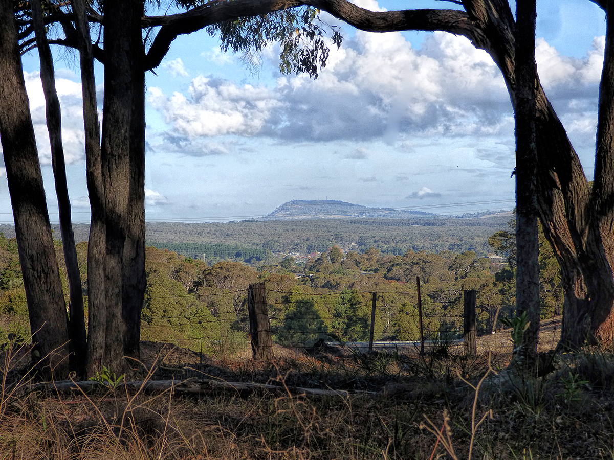 From the Bush