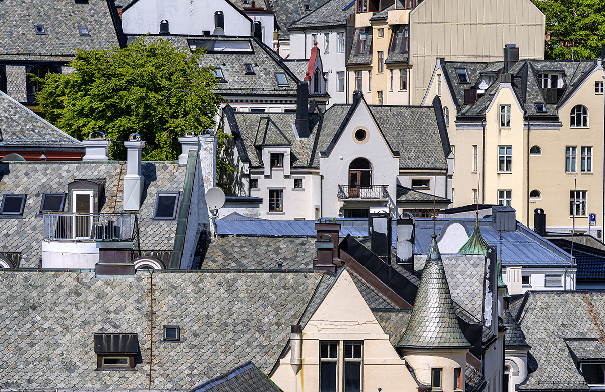 Roof Lines Of Many