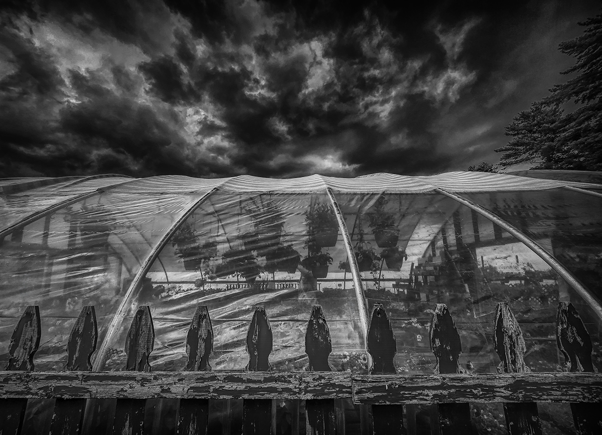 Greenhouse & Storm