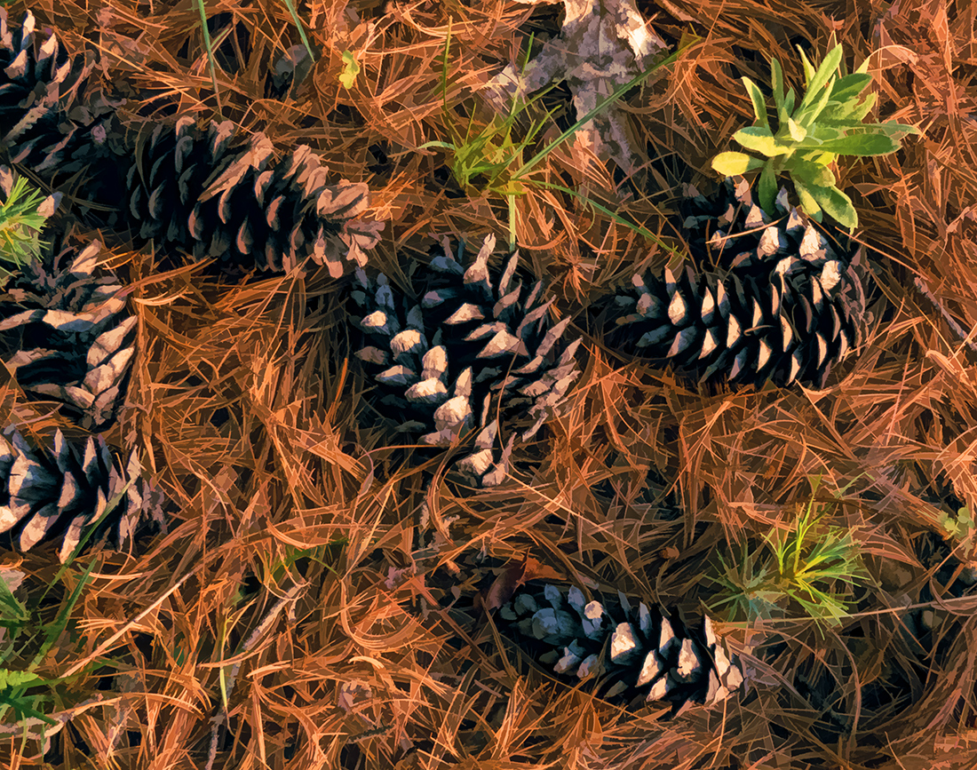 Windfall