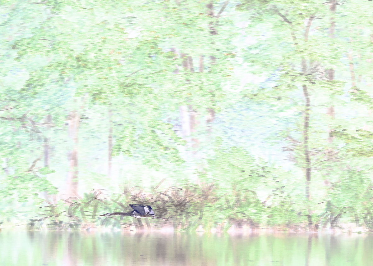 fleeting