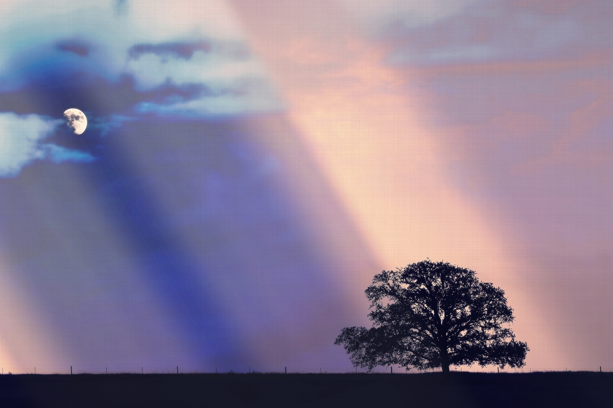 Between Two Realities