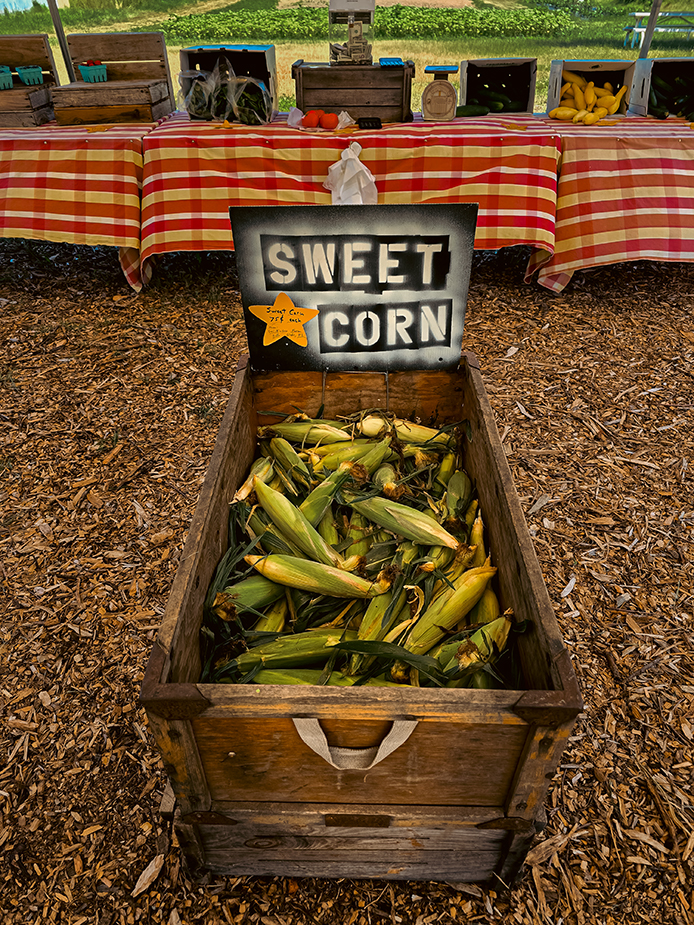 Farmstand Fresh Sweet Corn!