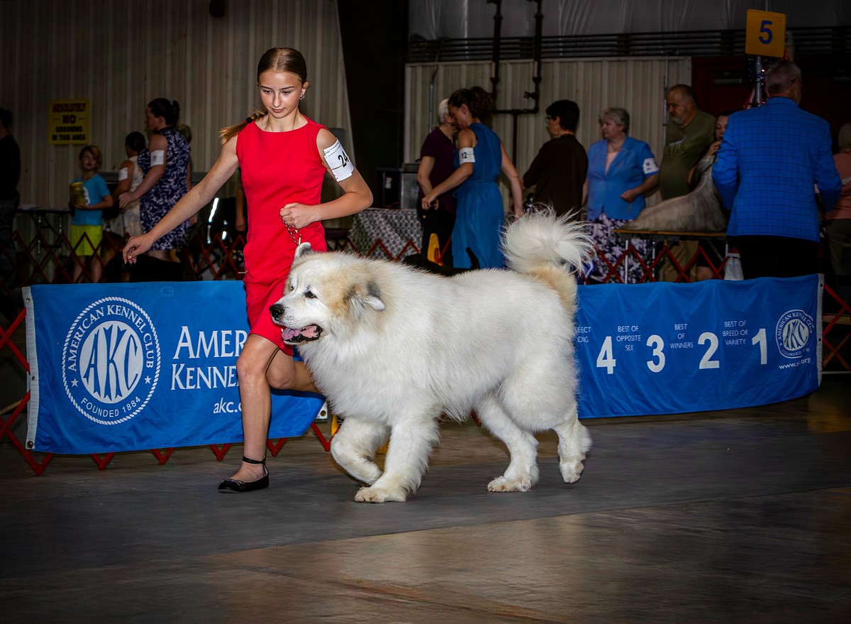 Future Best Of Show