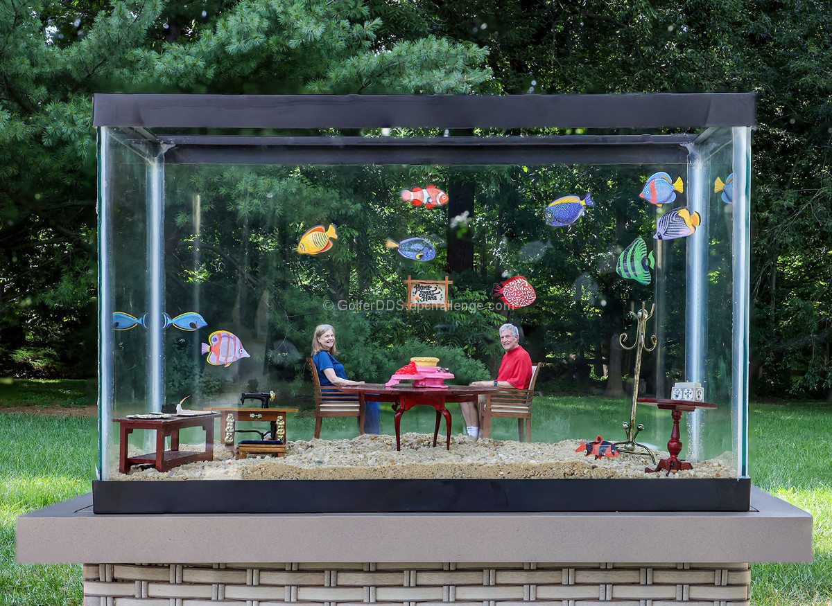 Life In A Fish Bowl