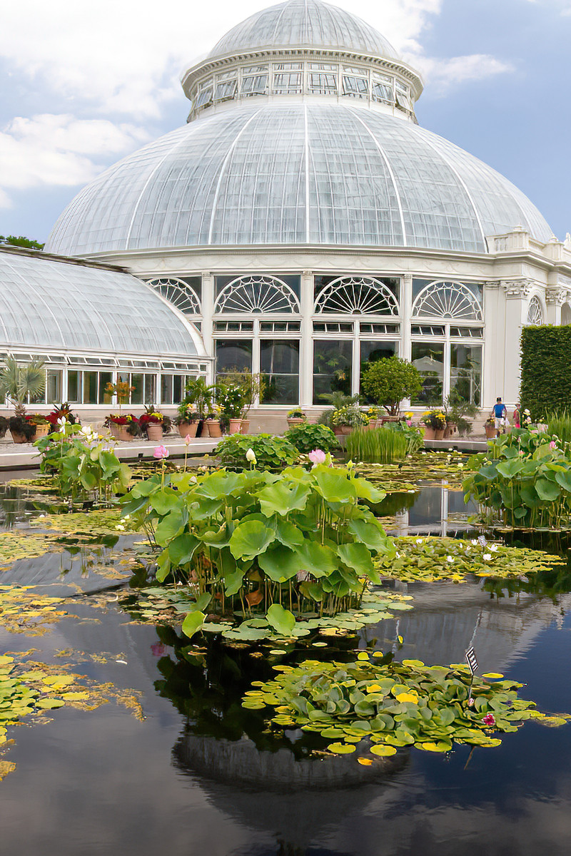 The Extraordinary van Gogh Exhibit at The Bronx Botanical Gardens