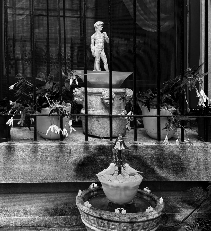 First Prize - Window Dressing