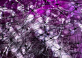 Neural Net