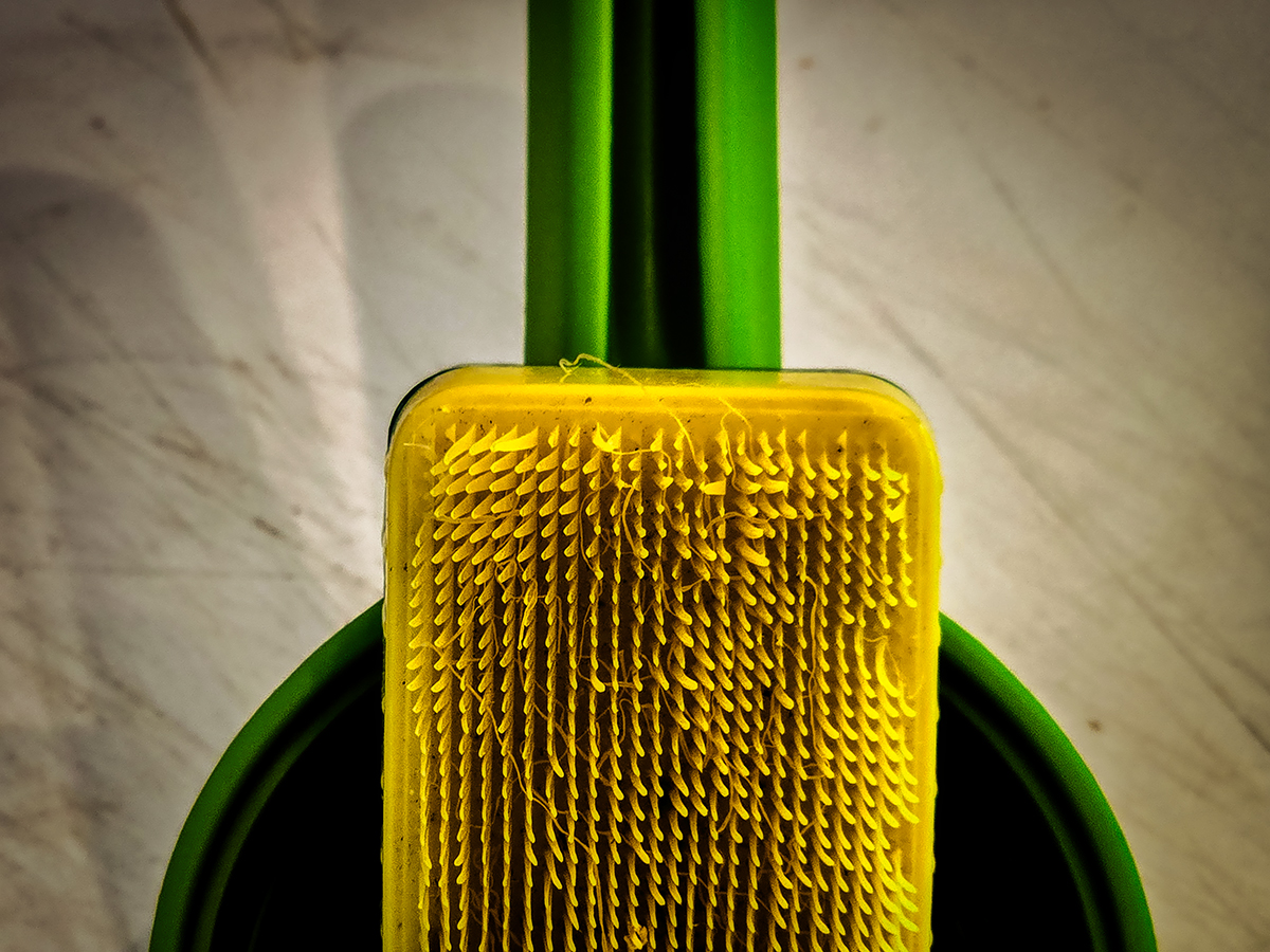 Two Kitchen Essentials 