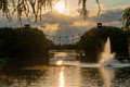 Sunset Shower