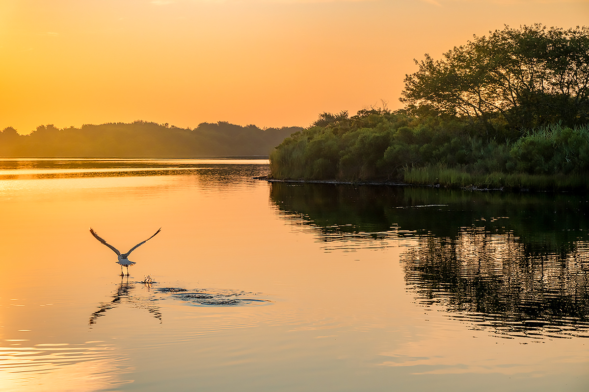 Dawn on Ninigret Salt Pond