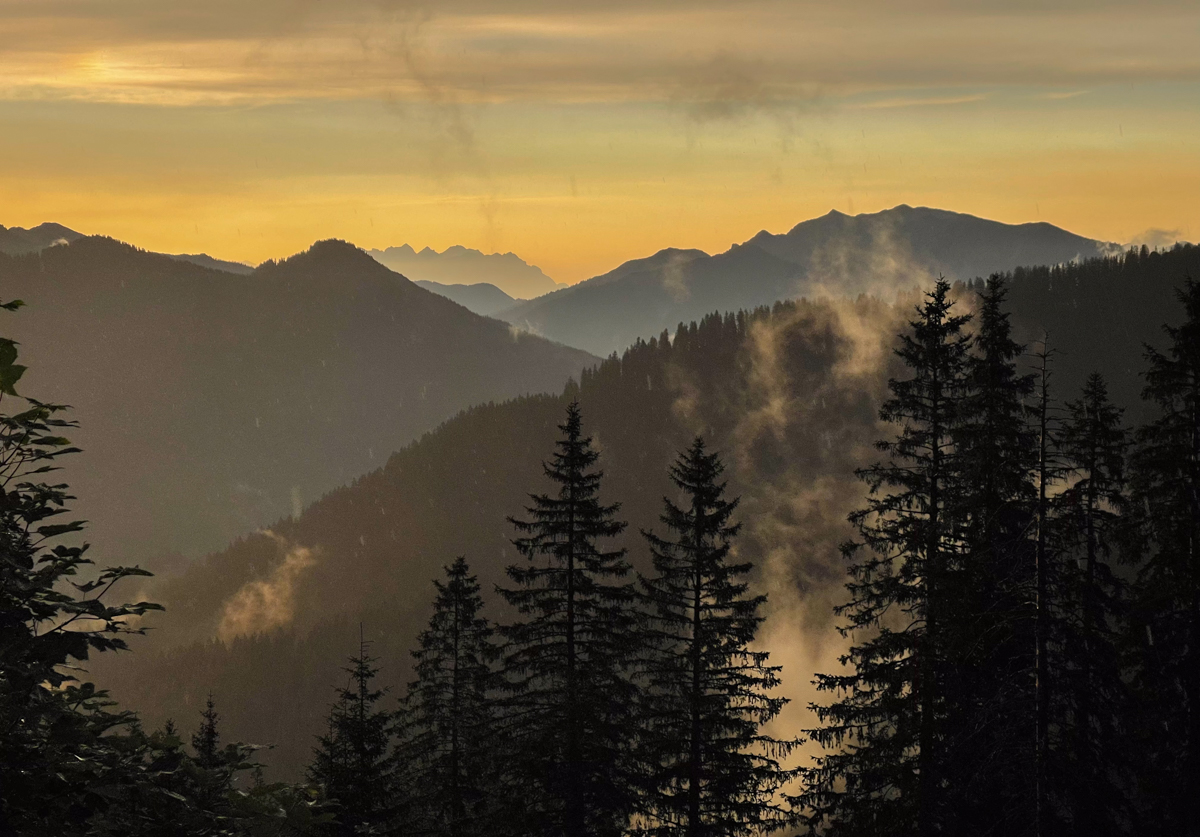 Morning mist
