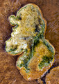 The man. Macro abstract of clay bottom in a hot spring.