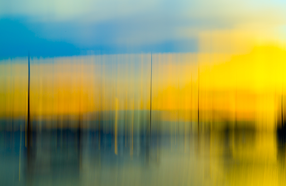 One Particular Harbour