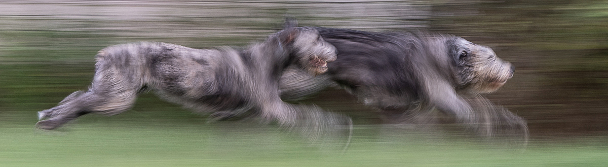 Exuberance