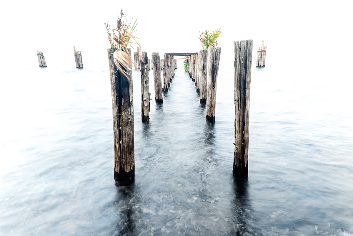 Bones of the Sea