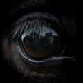 In the eye of the beholder