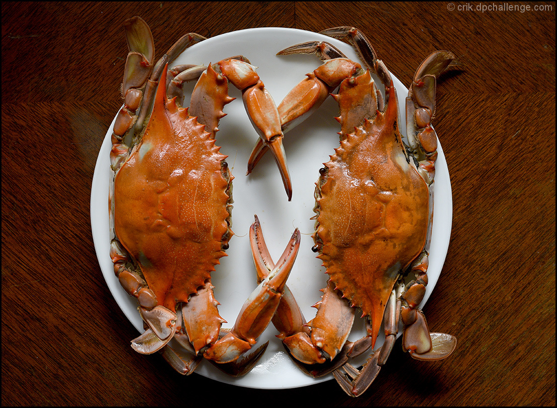 A Crabby Pair