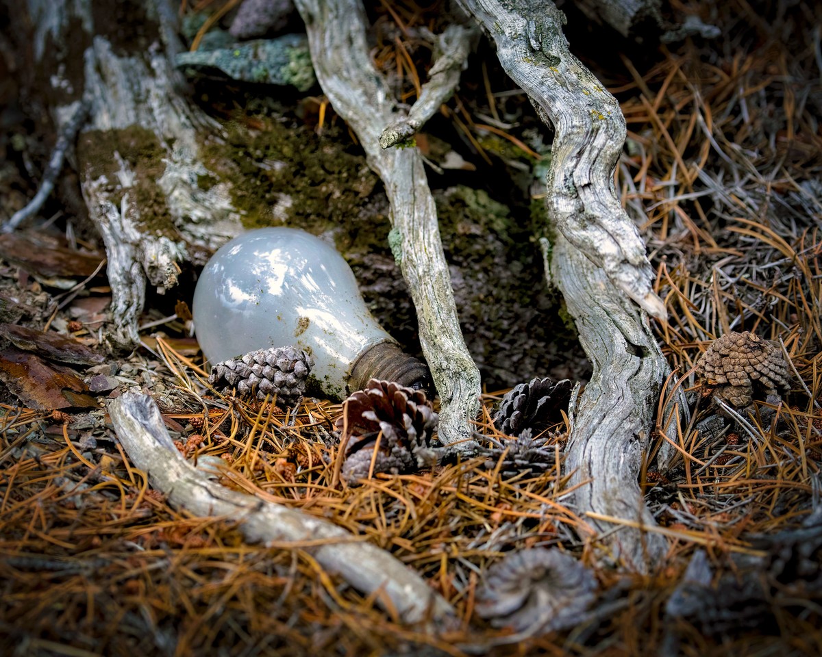 Discarded