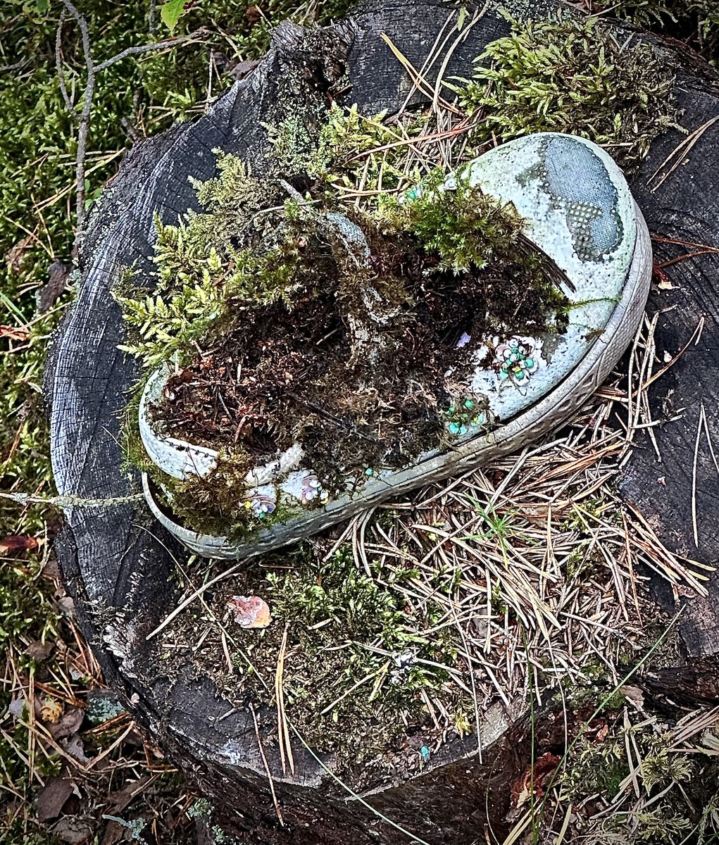 Abandoned shoe Long time ago